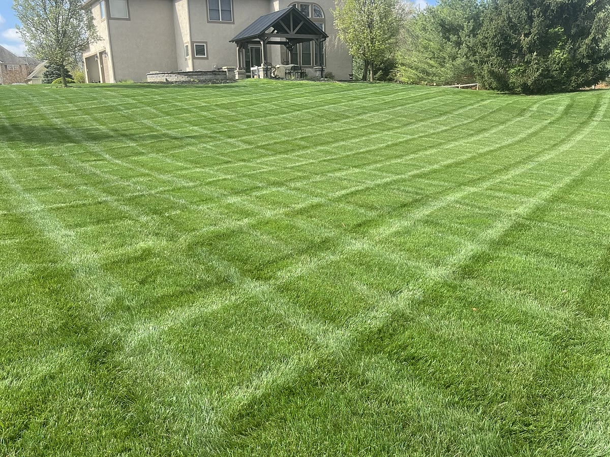 Wide striped backyard lawn behind a two-story home