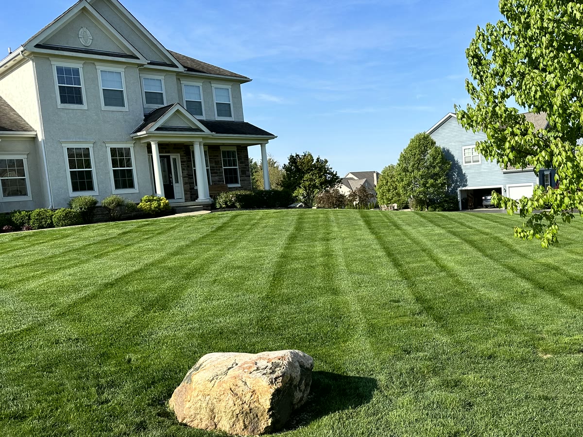 Front lawn and shade tree at a two-story home